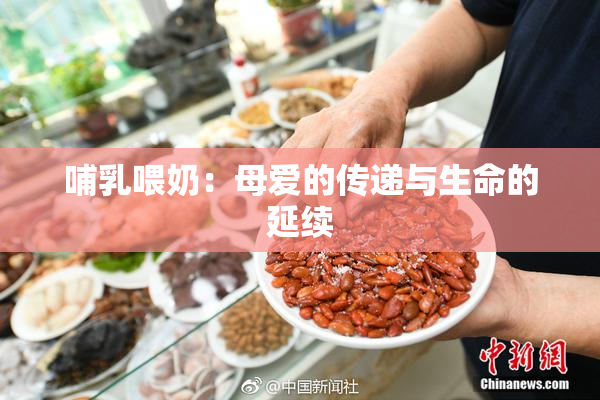 哺乳喂奶：母爱的传递与生命的延续