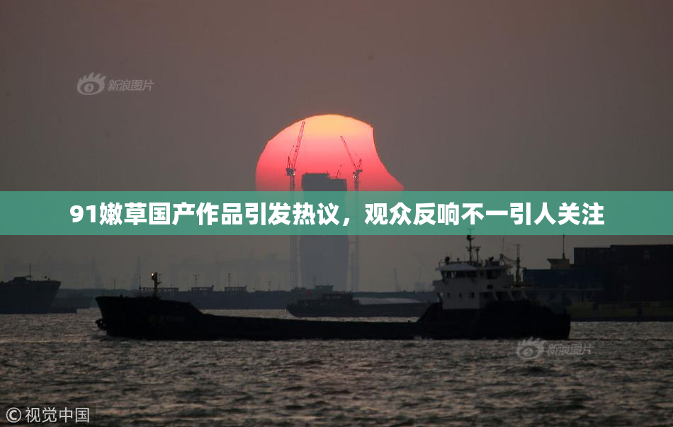 91嫩草国产作品引发热议，观众反响不一引人关注