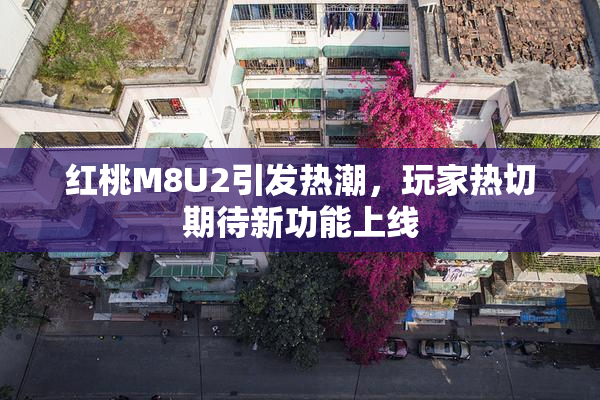 红桃M8U2引发热潮，玩家热切期待新功能上线