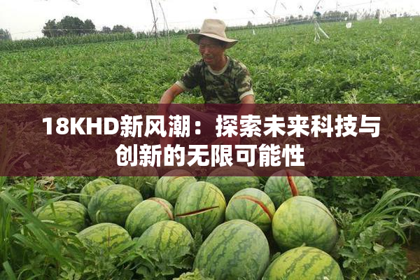 18KHD新风潮：探索未来科技与创新的无限可能性