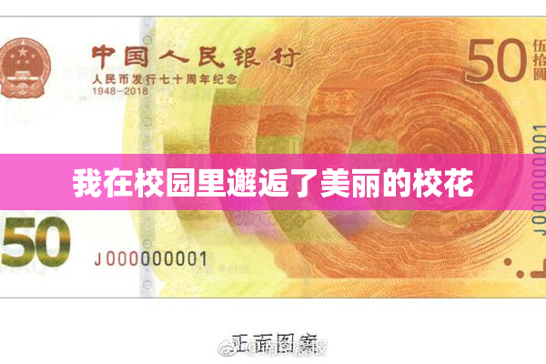 我在校园里邂逅了美丽的校花