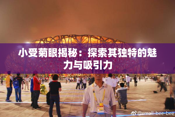 小受菊眼揭秘：探索其独特的魅力与吸引力