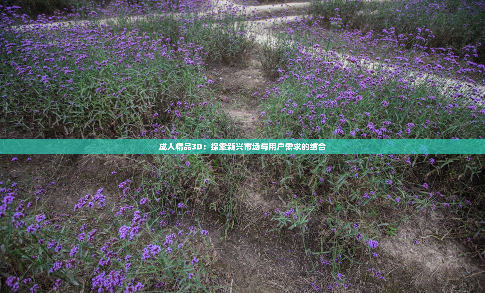 成人精品3D：探索新兴市场与用户需求的结合