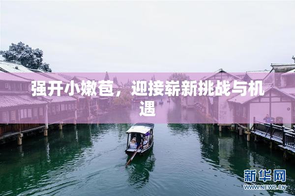 强开小嫩苞，迎接崭新挑战与机遇