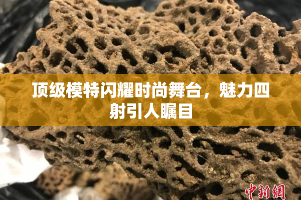 顶级模特闪耀时尚舞台，魅力四射引人瞩目