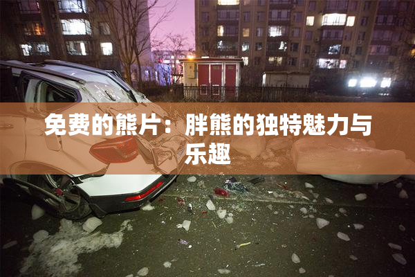 免费的熊片：胖熊的独特魅力与乐趣