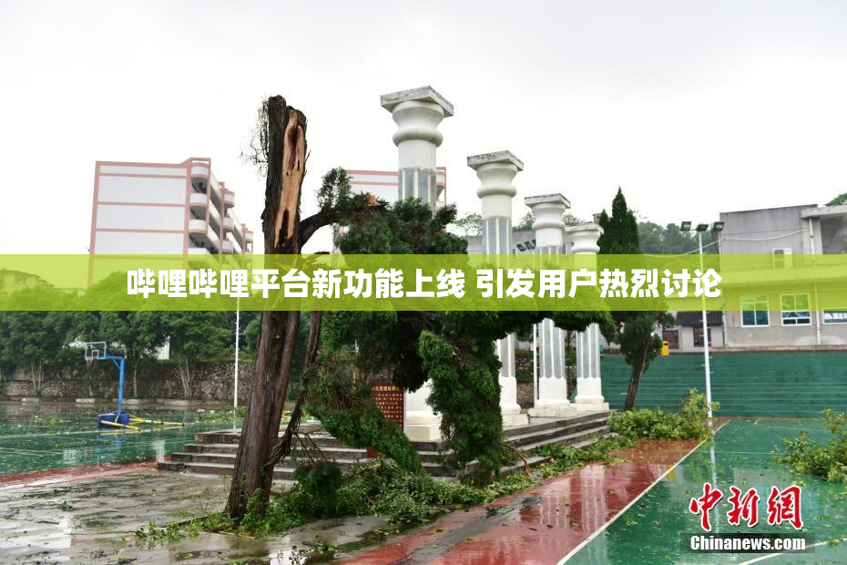 哔哩哔哩平台新功能上线 引发用户热烈讨论