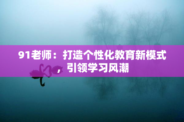 91老师：打造个性化教育新模式，引领学习风潮