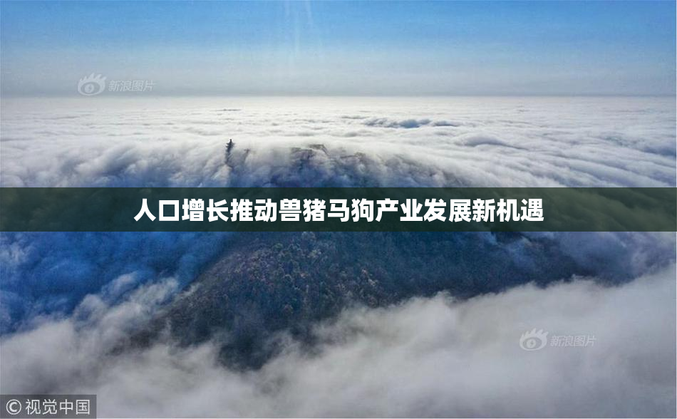 人口增长推动兽猪马狗产业发展新机遇