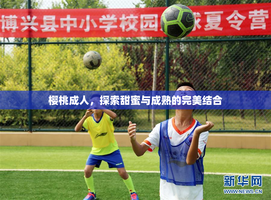 樱桃成人，探索甜蜜与成熟的完美结合