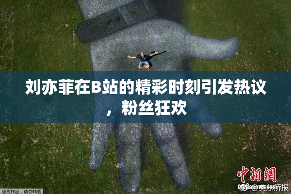 刘亦菲在B站的精彩时刻引发热议，粉丝狂欢