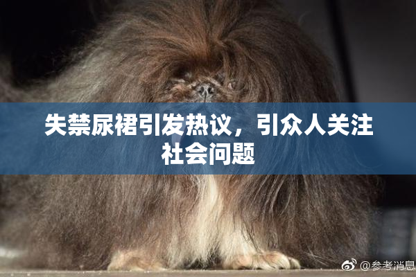 失禁尿裙引发热议，引众人关注社会问题