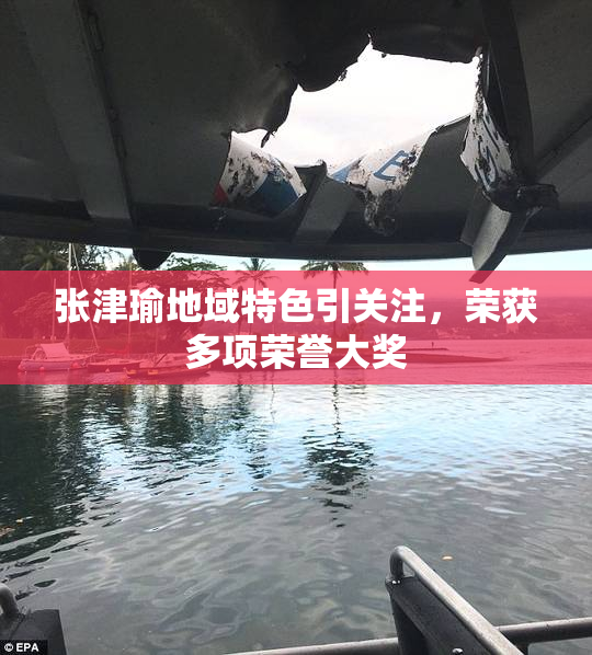 张津瑜地域特色引关注，荣获多项荣誉大奖