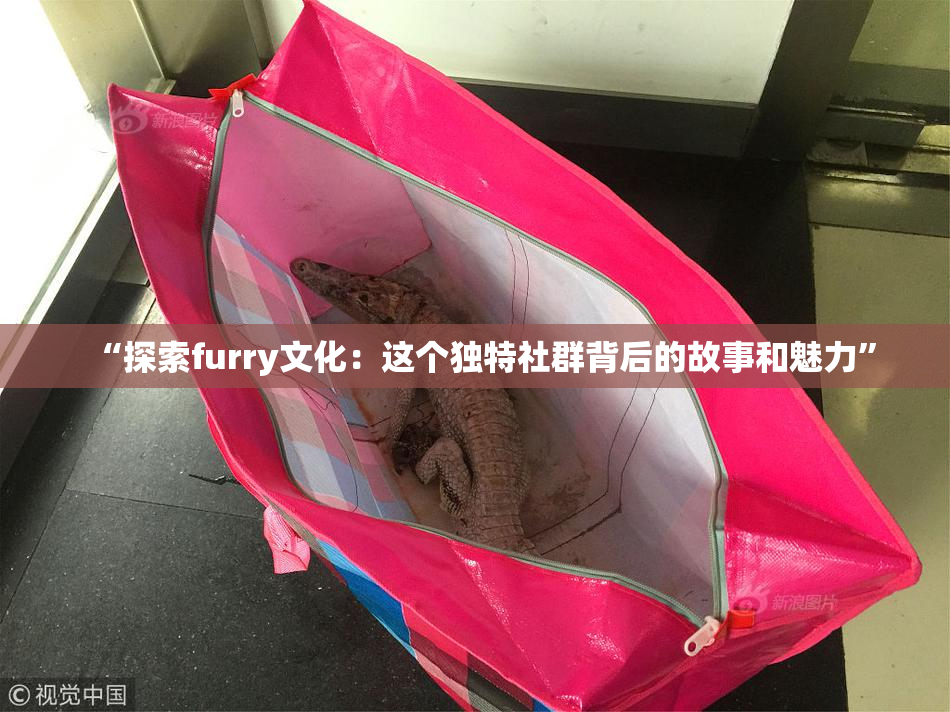 “探索furry文化：这个独特社群背后的故事和魅力”