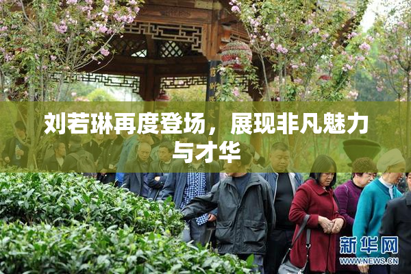 刘若琳再度登场，展现非凡魅力与才华