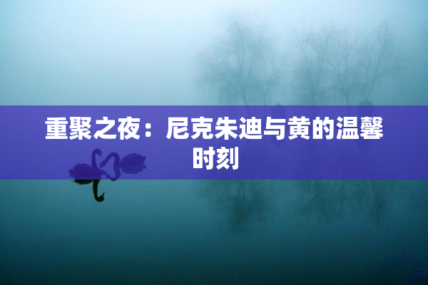 重聚之夜：尼克朱迪与黄的温馨时刻