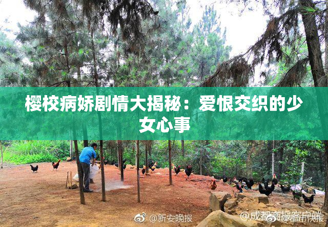 樱校病娇剧情大揭秘：爱恨交织的少女心事