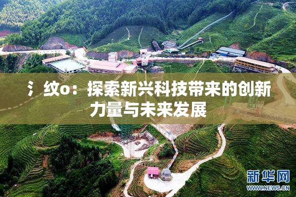 氵纹o：探索新兴科技带来的创新力量与未来发展