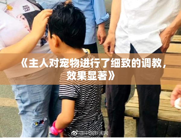 《主人对宠物进行了细致的调教，效果显著》