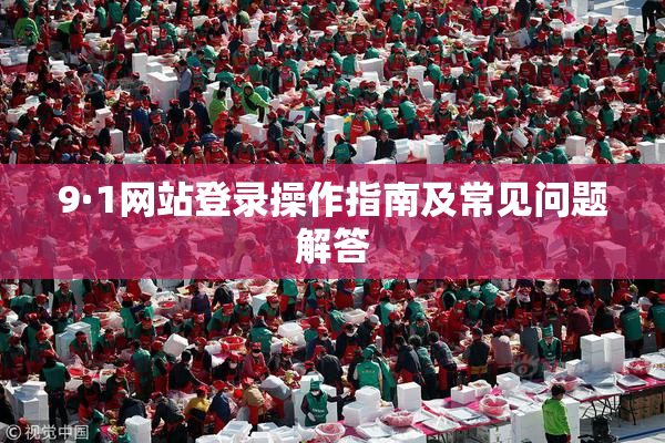 9·1网站登录操作指南及常见问题解答