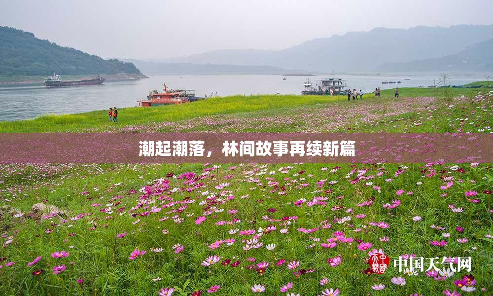 潮起潮落，林间故事再续新篇