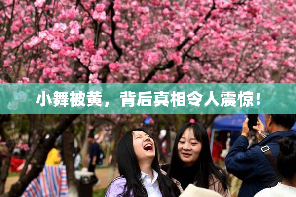 小舞被黄，背后真相令人震惊！