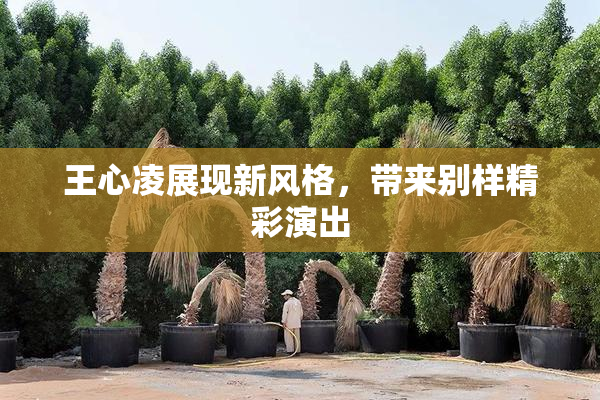 王心凌展现新风格，带来别样精彩演出