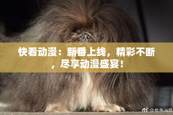 快看动漫：新番上线，精彩不断，尽享动漫盛宴！