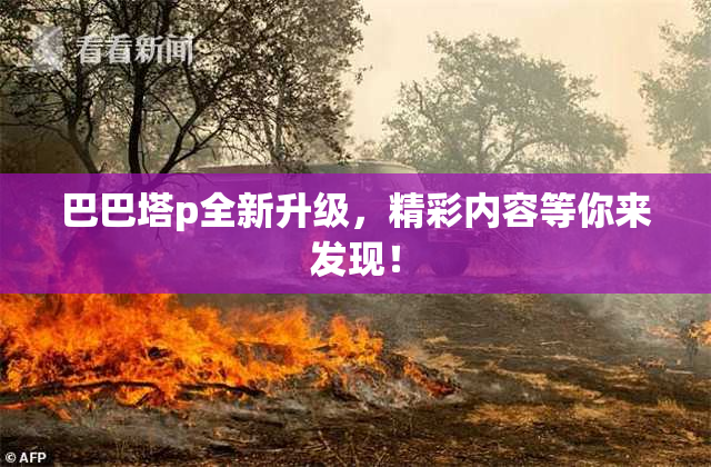 巴巴塔p全新升级，精彩内容等你来发现！