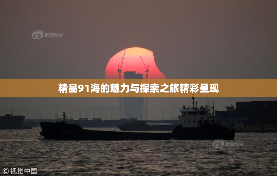 精品91海的魅力与探索之旅精彩呈现