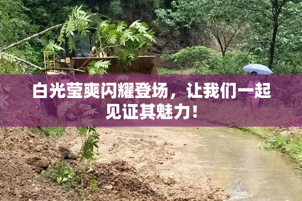 白光莹爽闪耀登场，让我们一起见证其魅力！