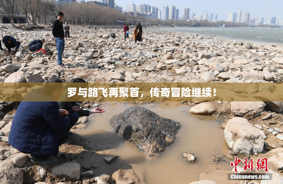罗与路飞再聚首，传奇冒险继续！