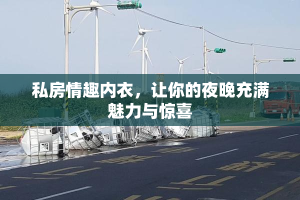 私房情趣内衣，让你的夜晚充满魅力与惊喜