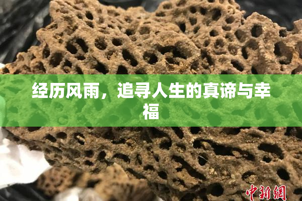 经历风雨，追寻人生的真谛与幸福