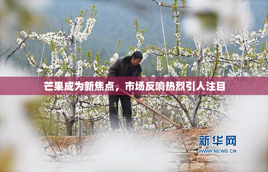芒果成为新焦点，市场反响热烈引人注目