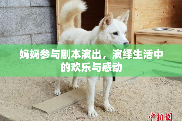 妈妈参与剧本演出，演绎生活中的欢乐与感动