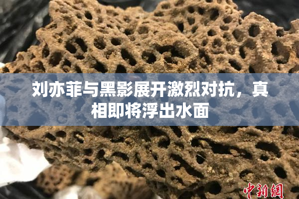 刘亦菲与黑影展开激烈对抗，真相即将浮出水面
