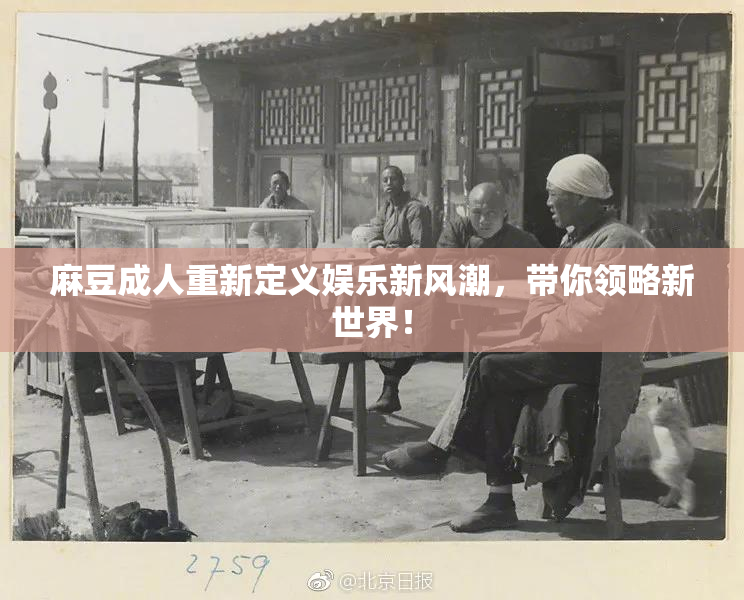 麻豆成人重新定义娱乐新风潮，带你领略新世界！