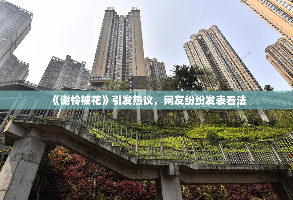 《谢怜被花》引发热议，网友纷纷发表看法