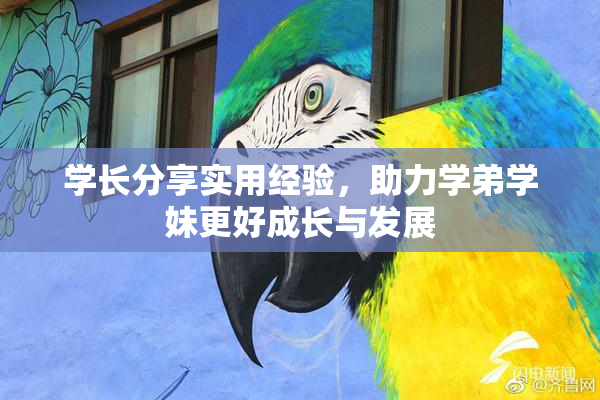 学长分享实用经验，助力学弟学妹更好成长与发展