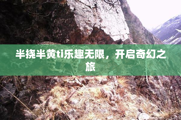 半挠半黄ti乐趣无限，开启奇幻之旅