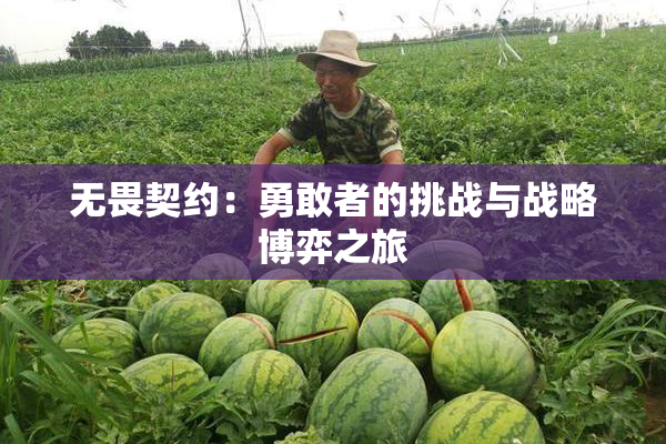 无畏契约：勇敢者的挑战与战略博弈之旅