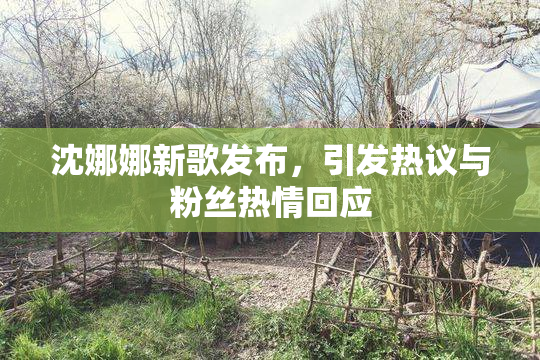 沈娜娜新歌发布，引发热议与粉丝热情回应