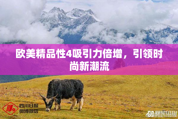 欧美精品性4吸引力倍增，引领时尚新潮流