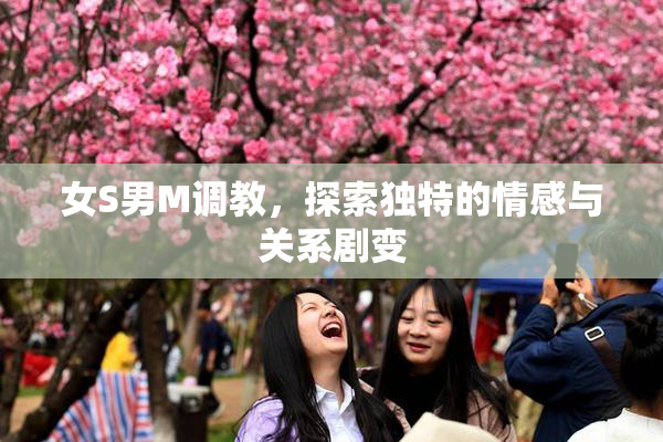 女S男M调教，探索独特的情感与关系剧变