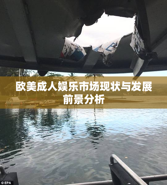 欧美成人娱乐市场现状与发展前景分析