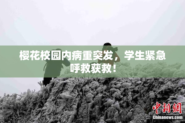樱花校园内病重突发，学生紧急呼救获救！