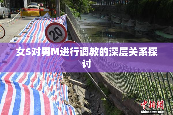女S对男M进行调教的深层关系探讨
