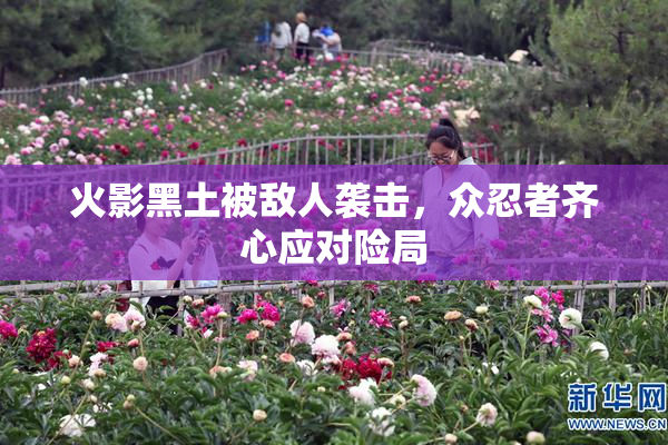 火影黑土被敌人袭击，众忍者齐心应对险局