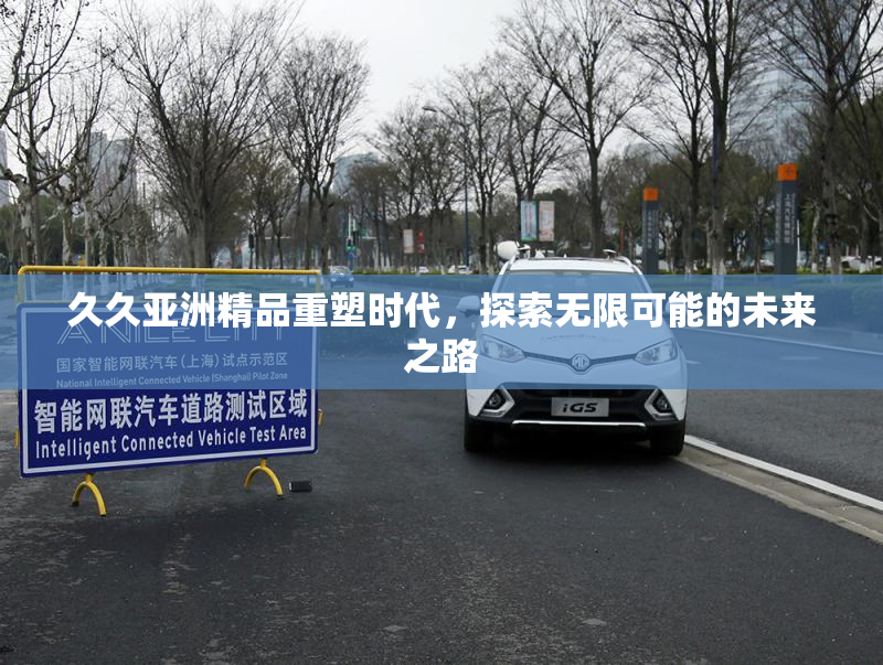 久久亚洲精品重塑时代，探索无限可能的未来之路